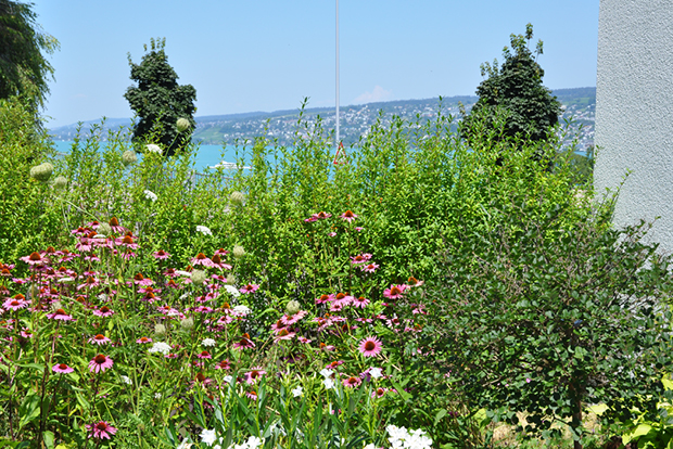 Umgebung Frühling/Sommer 2020