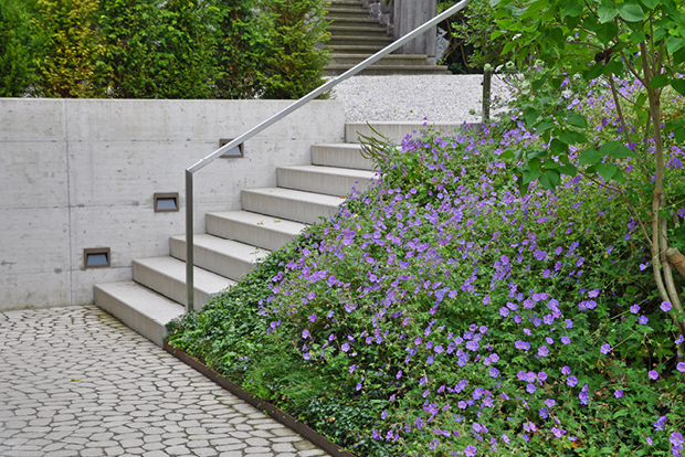 Umgebung Frühling/Sommer 2020